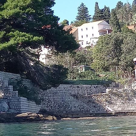 Villa Sea Dream Kolocep Gornje Celo 外观 照片