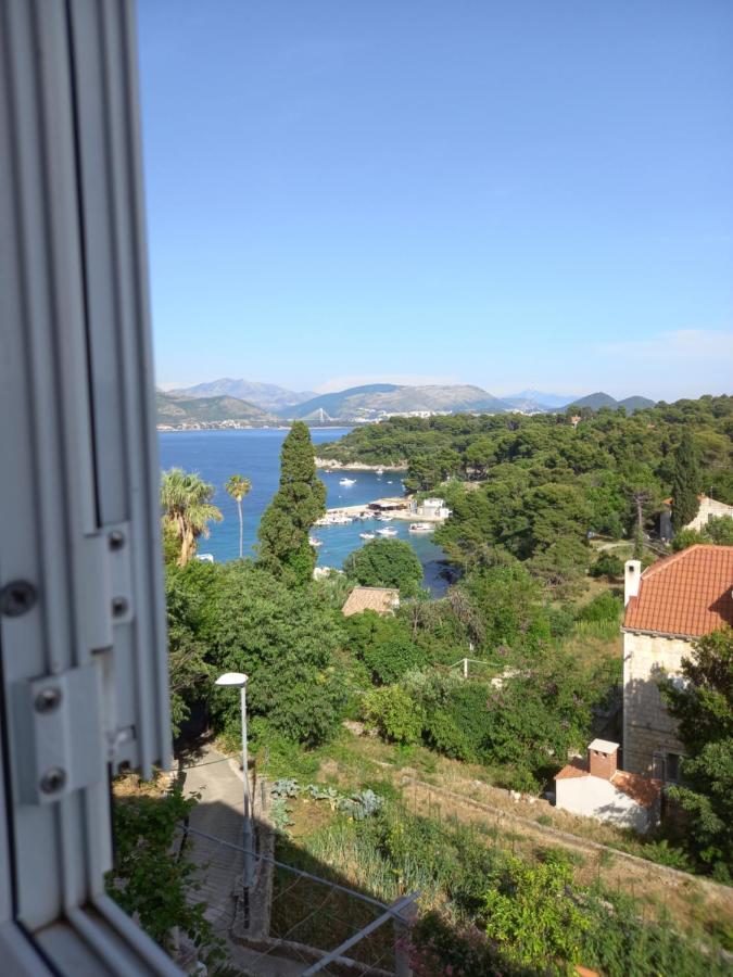 Villa Sea Dream Kolocep Gornje Celo 外观 照片