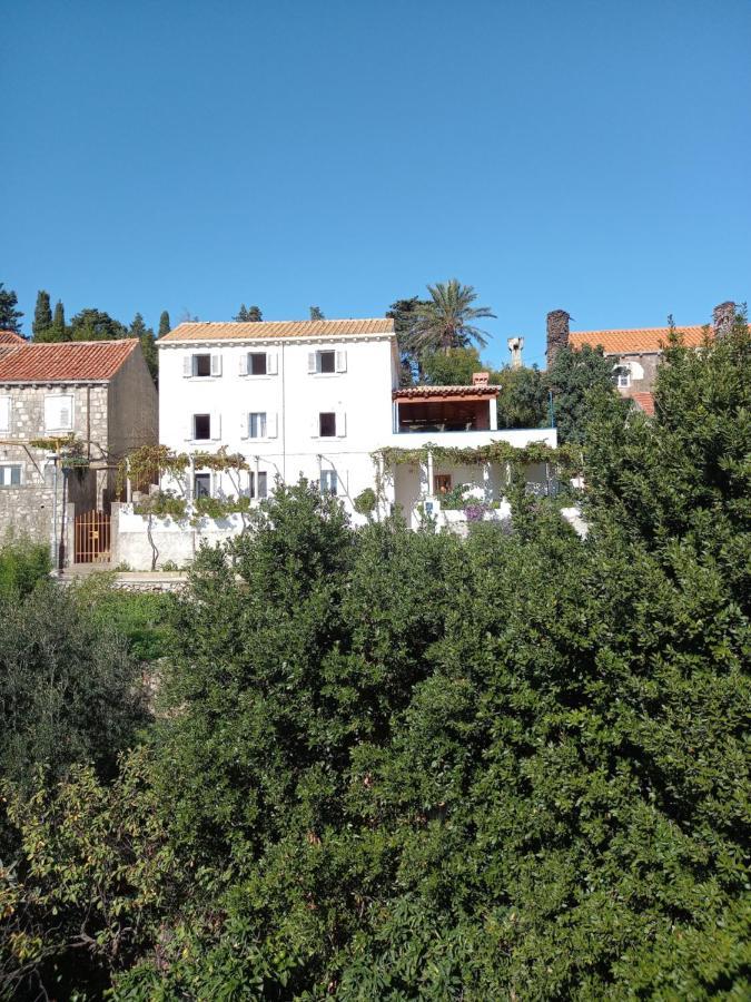 Villa Sea Dream Kolocep Gornje Celo 外观 照片
