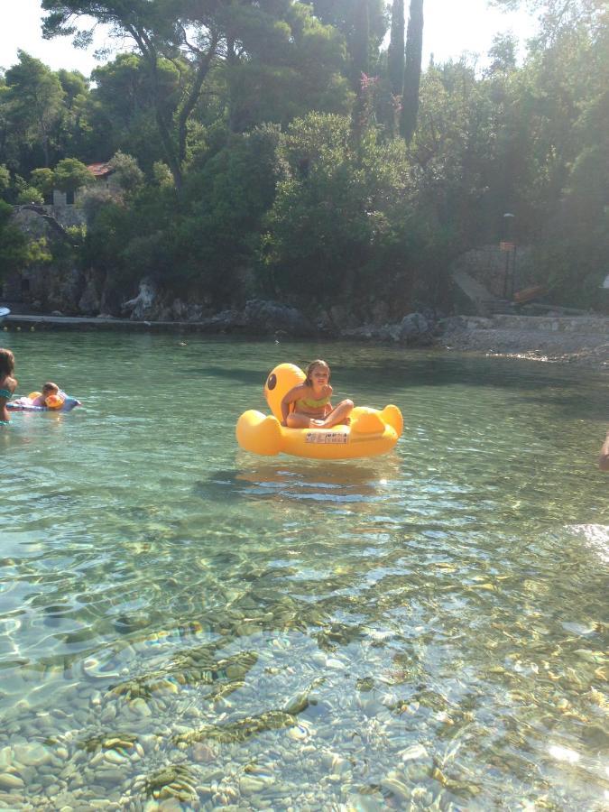 Villa Sea Dream Kolocep Gornje Celo 外观 照片