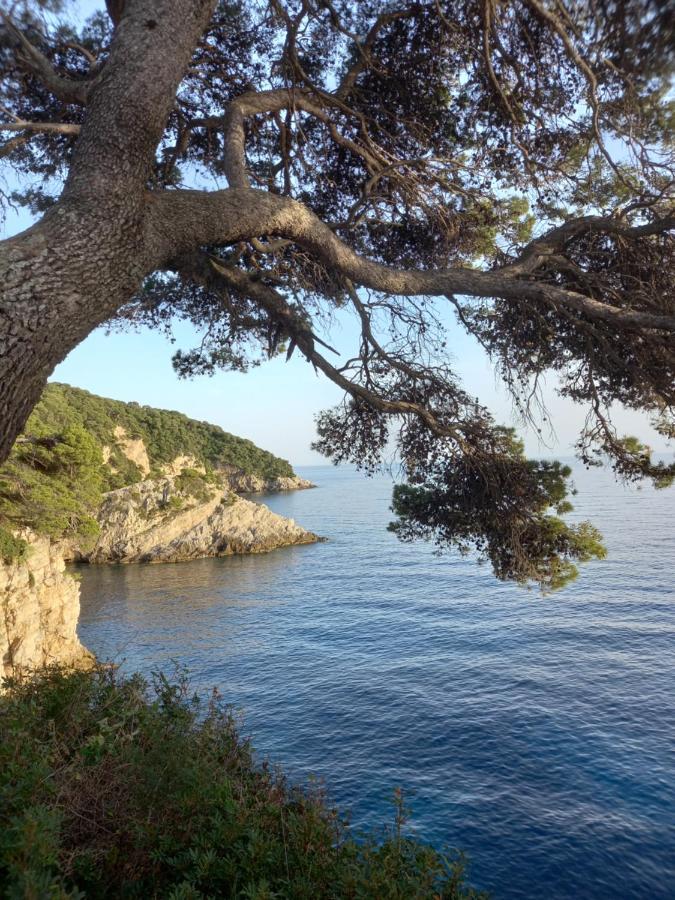 Villa Sea Dream Kolocep Gornje Celo 外观 照片
