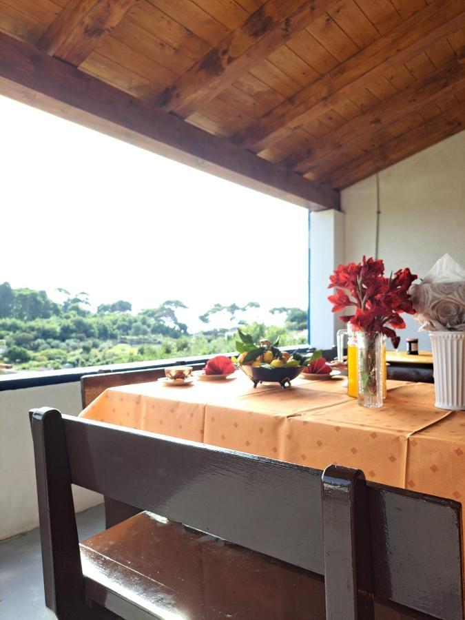 Villa Sea Dream Kolocep Gornje Celo 外观 照片