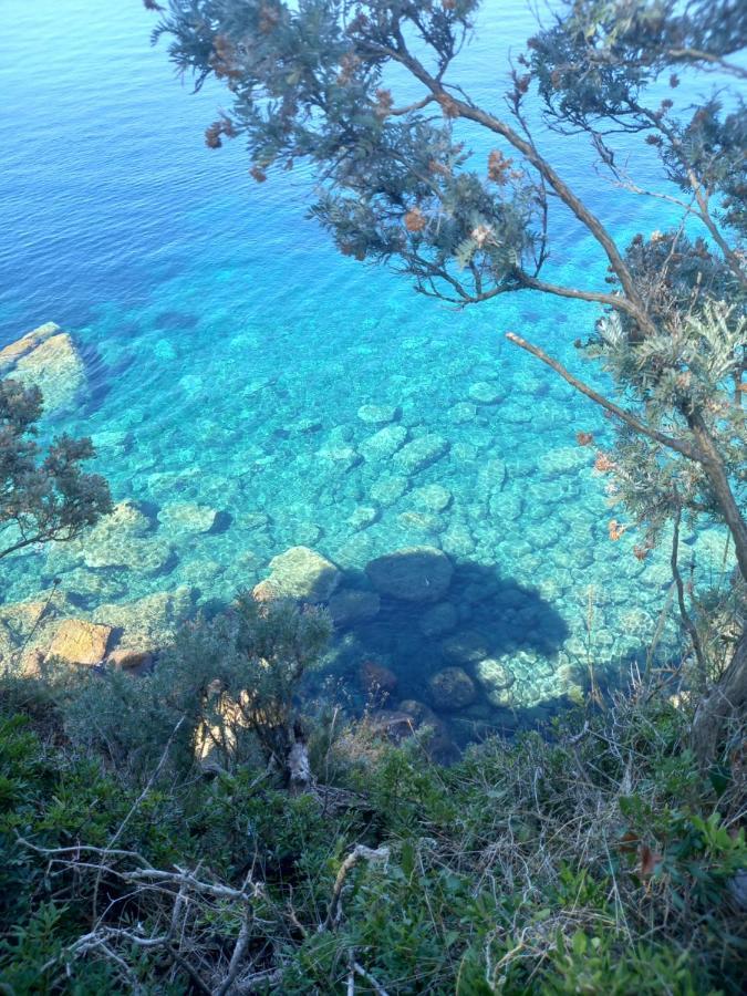Villa Sea Dream Kolocep Gornje Celo 外观 照片