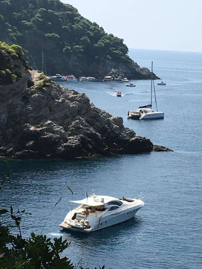 Villa Sea Dream Kolocep Gornje Celo 外观 照片