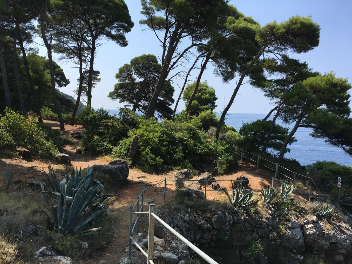 Villa Sea Dream Kolocep Gornje Celo 外观 照片