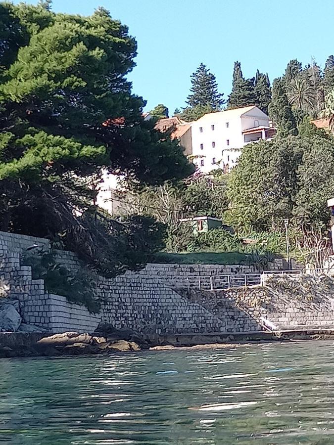 Villa Sea Dream Kolocep Gornje Celo 外观 照片