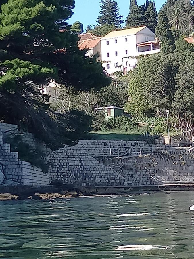 Villa Sea Dream Kolocep Gornje Celo 外观 照片