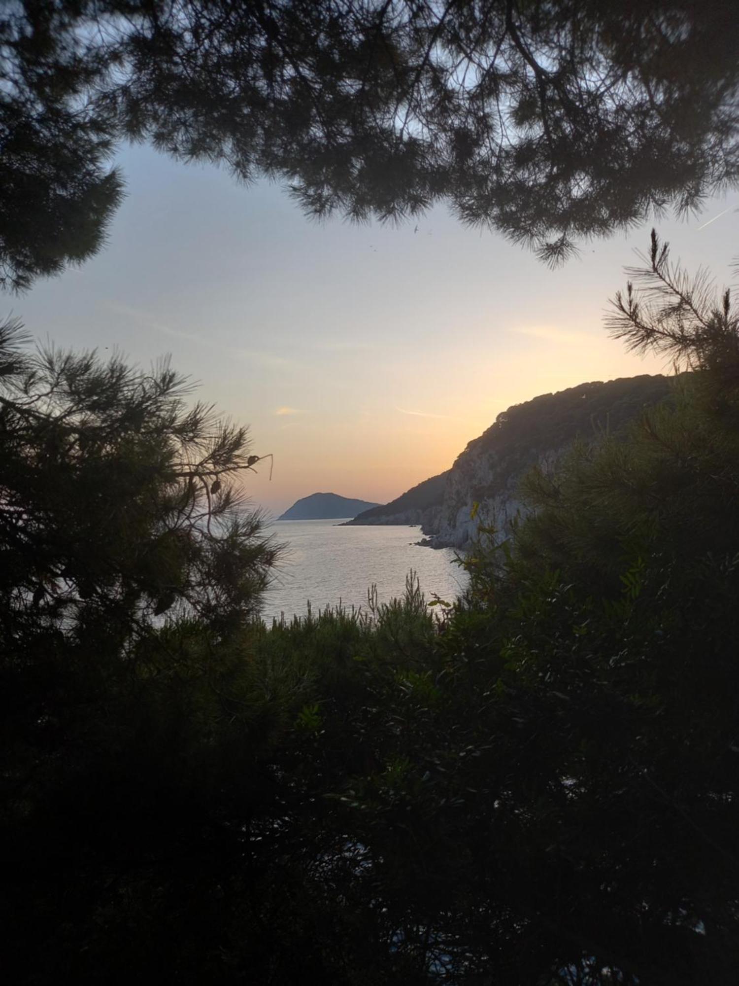 Villa Sea Dream Kolocep Gornje Celo 外观 照片
